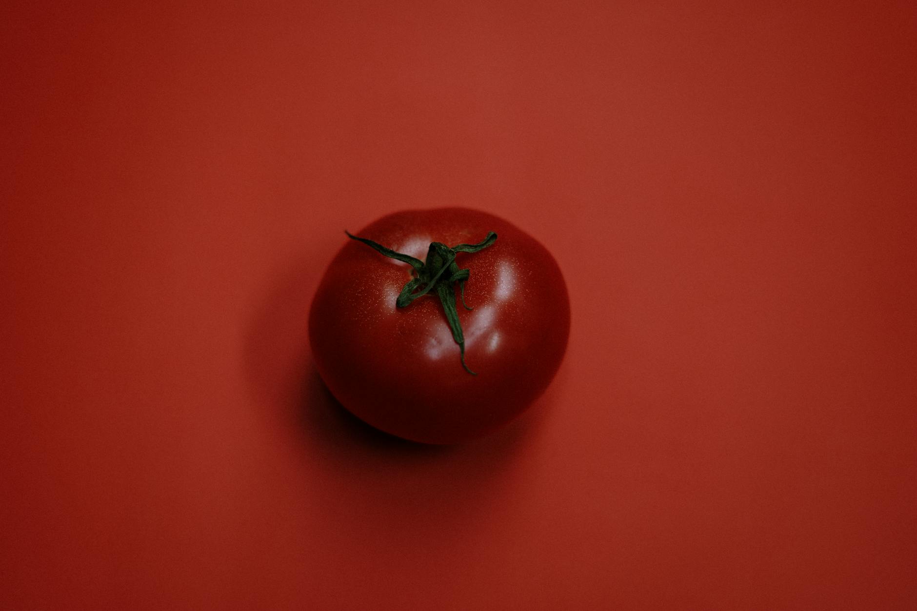 red tomato on red surface